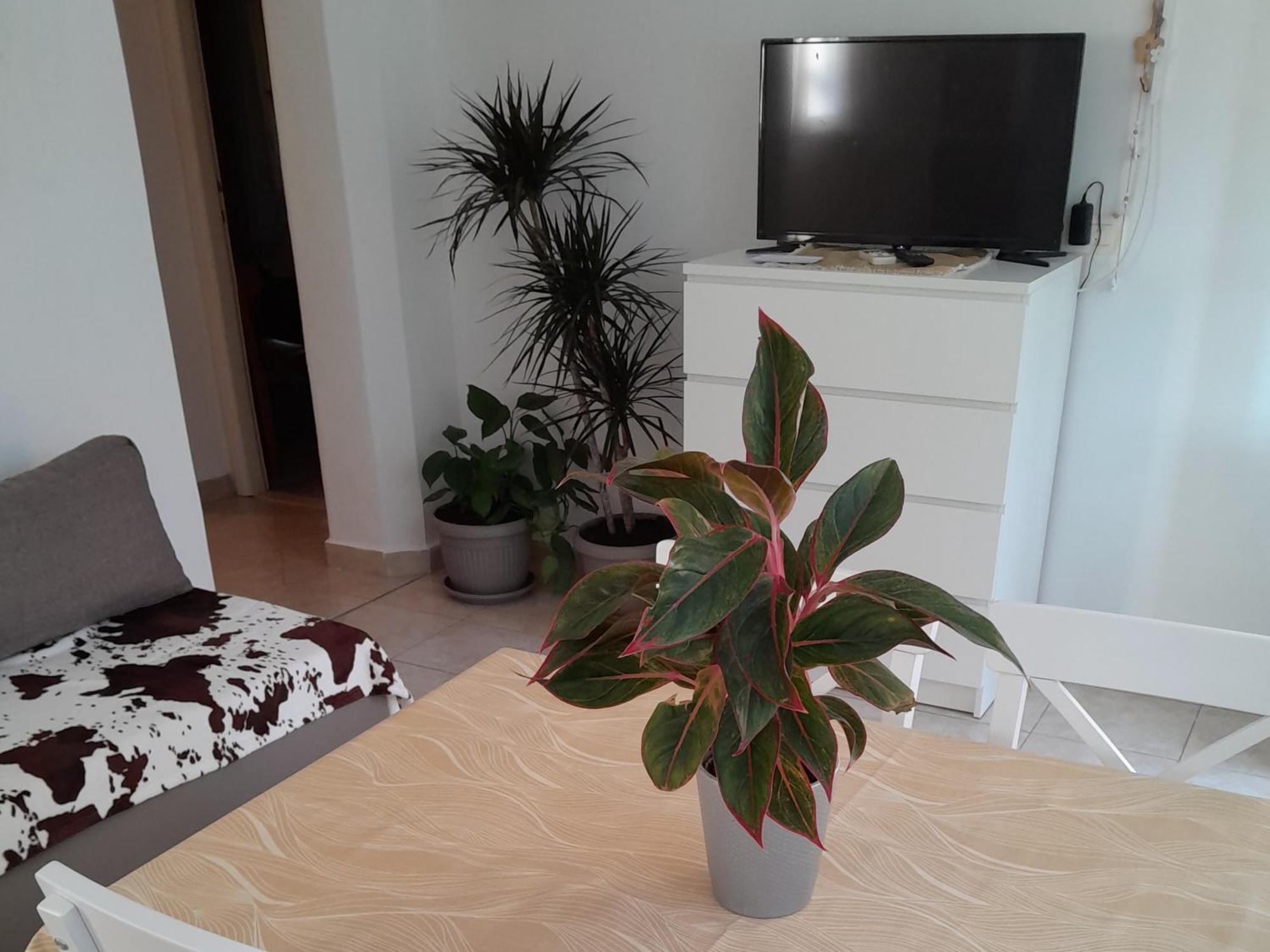 Apartments Viganj Ngoại thất bức ảnh
